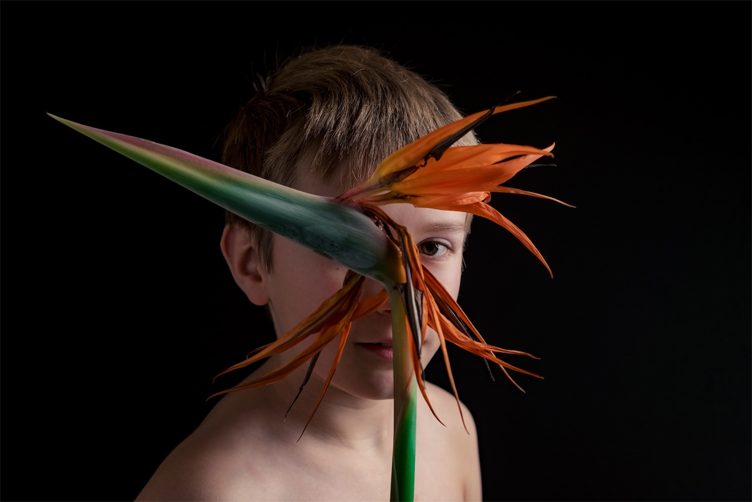 placeholder image sq